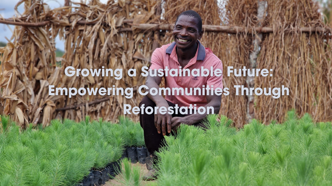 Growing a Sustainable Future: Empowering Communities Through Reforesta ...