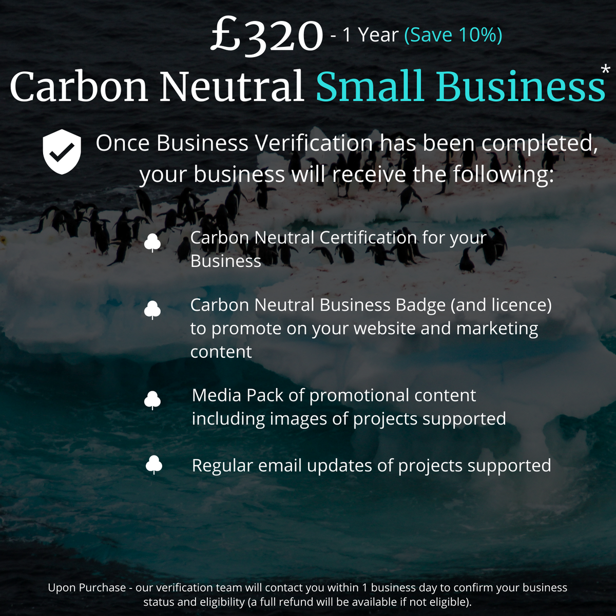 Become a Carbon Neutral Small Business - 1 Year Paid in Full – Carbon ...
