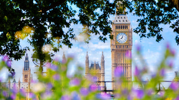 Scope 1 Emiisions UK