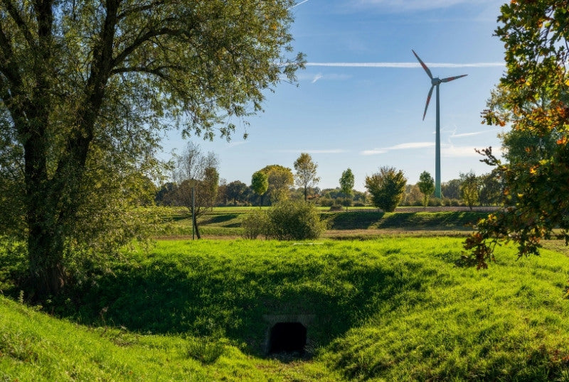 Fields with windmill