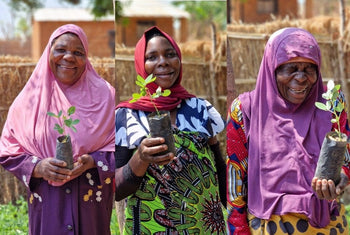 Scope 1 Emiisions UK