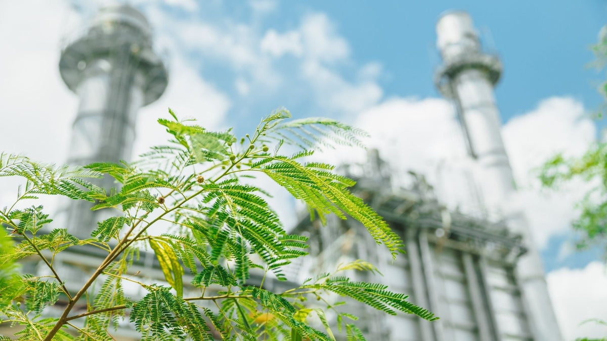 Green leaves in focus beside an industrial facility with metal chimneys in the background