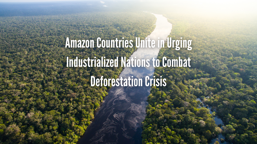 Amazon First Nations Program Amazon Countries Unite in Urging Industrialized Nations to Combat Defo ...