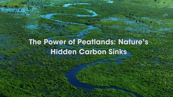 The Power of Peatlands: Nature’s Hidden Carbon Sinks