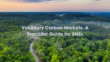 Voluntary Carbon Markets: A Practical Guide for SMEs