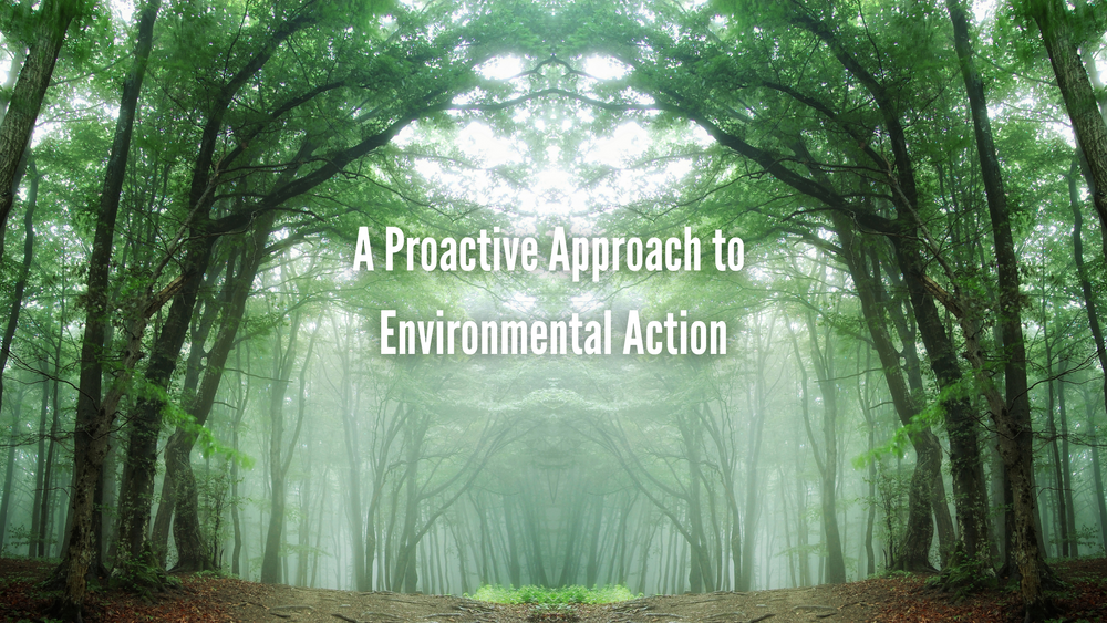 A Proactive Approach to Environmental Action – Carbon Neutral Britain