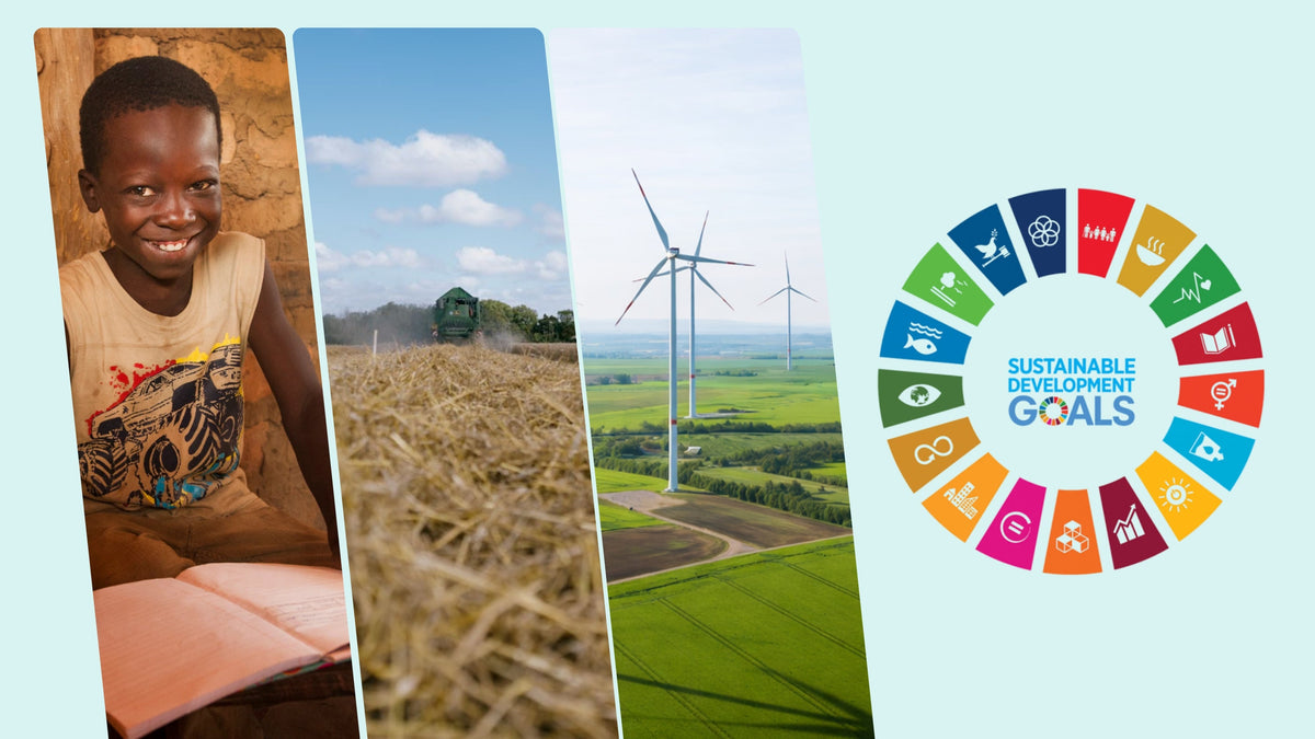 Carbon Offsetting Calculators