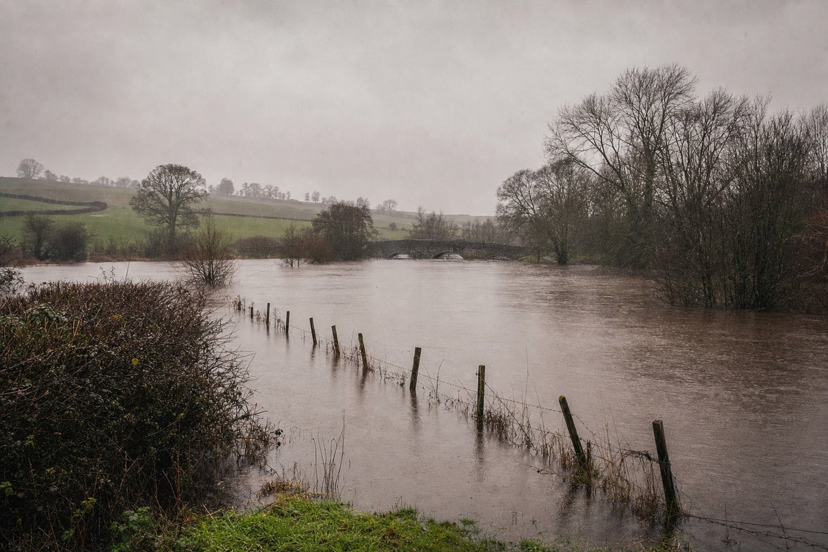 Is Climate Change Real? What 2026 Science Says (UK Guide)