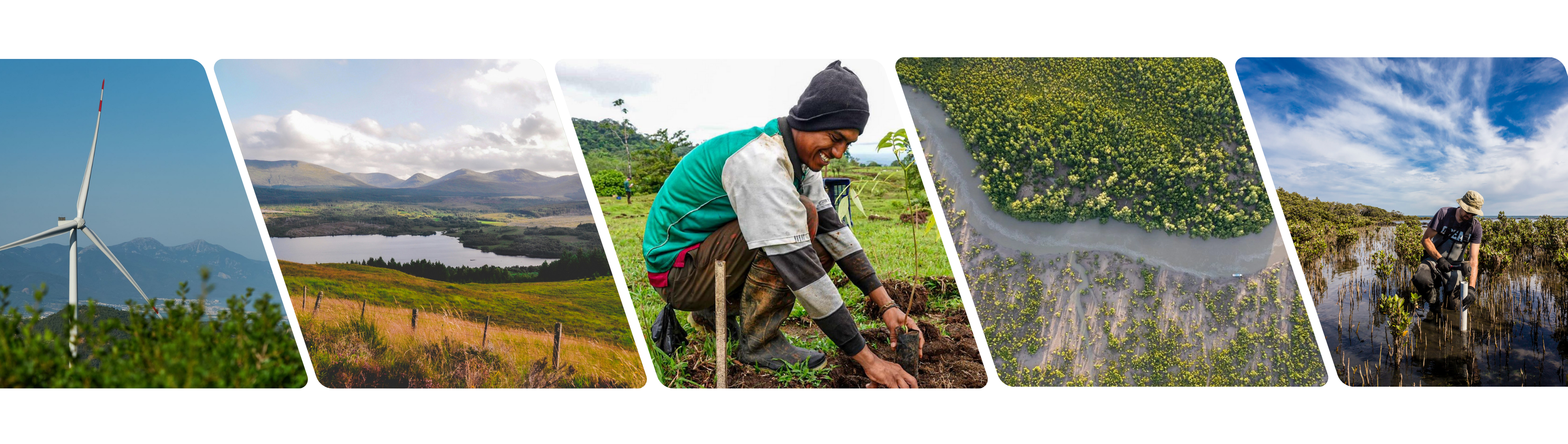Beautiful view of Carbon Offset Scheme Uk