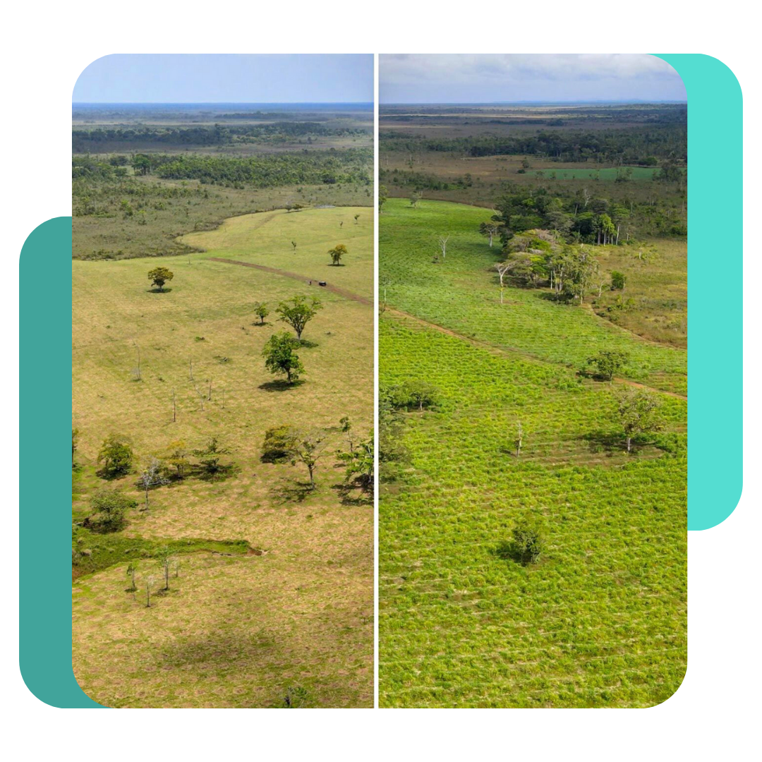 A closer look at Carbon Offset Scheme Uk