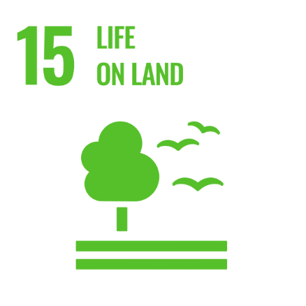 SDG 12 - Responsible Consumption and Prodution