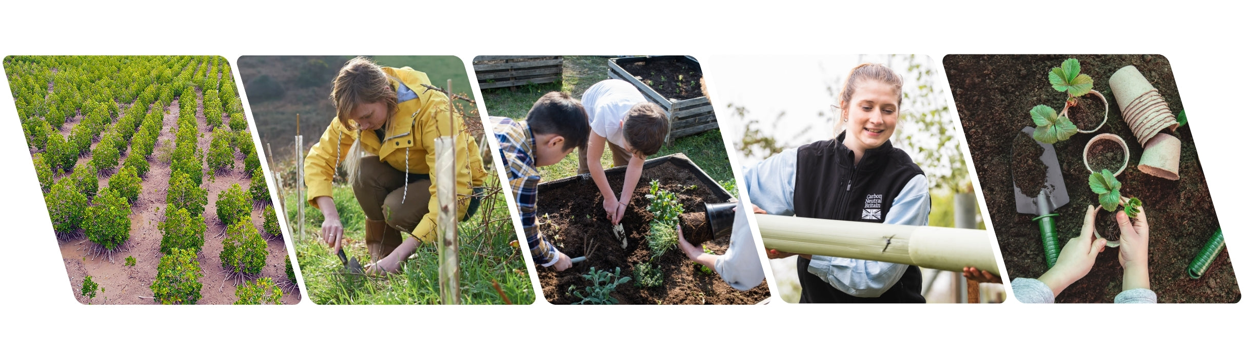Children and adults planting trees, tending gardens, and preparing soil—representing sustainability education, school planting projects, and environmental action in the UK.