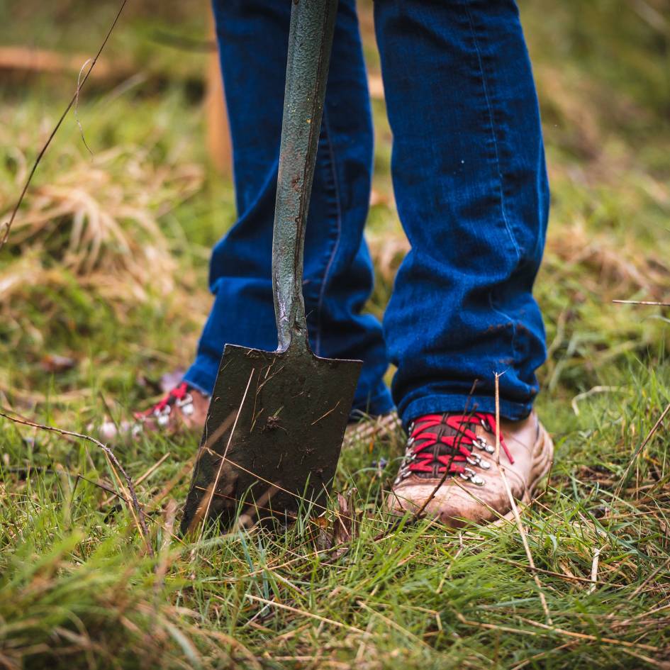 Person ready to plan trees in the UK nature