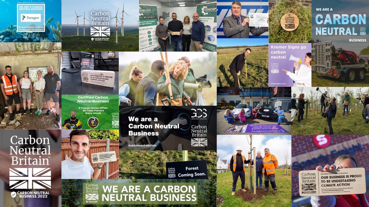 Businesses planting trees